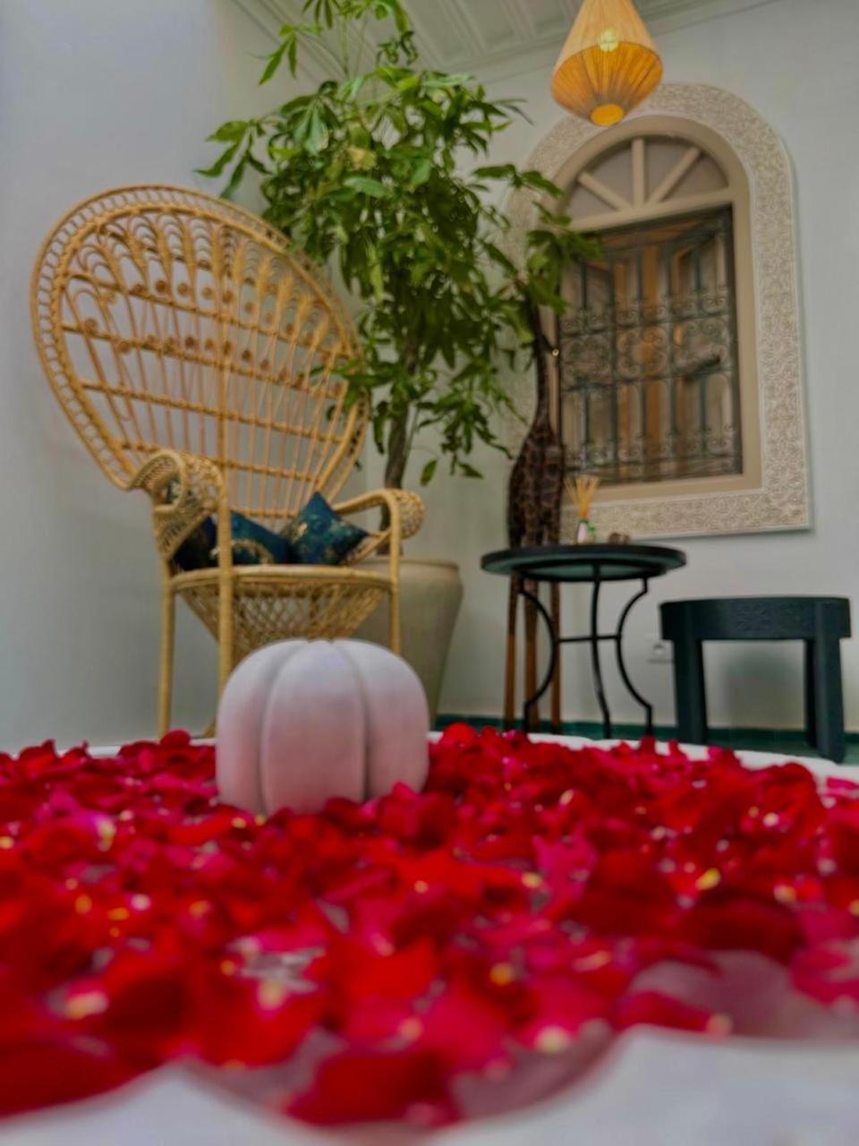 Riad Dollar Des Sables & Spa Hotel Marrakesh Exterior photo